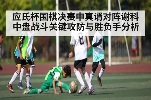 应氏杯围棋决赛申真谞对阵谢科中盘战斗关键攻防与胜负手分析