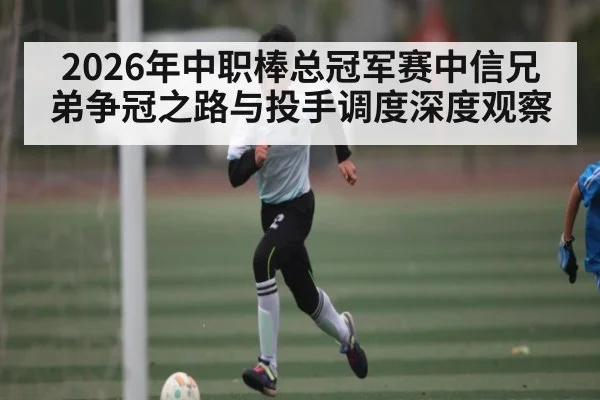 2026年中职棒总冠军赛中信兄弟争冠之路与投手调度深度观察